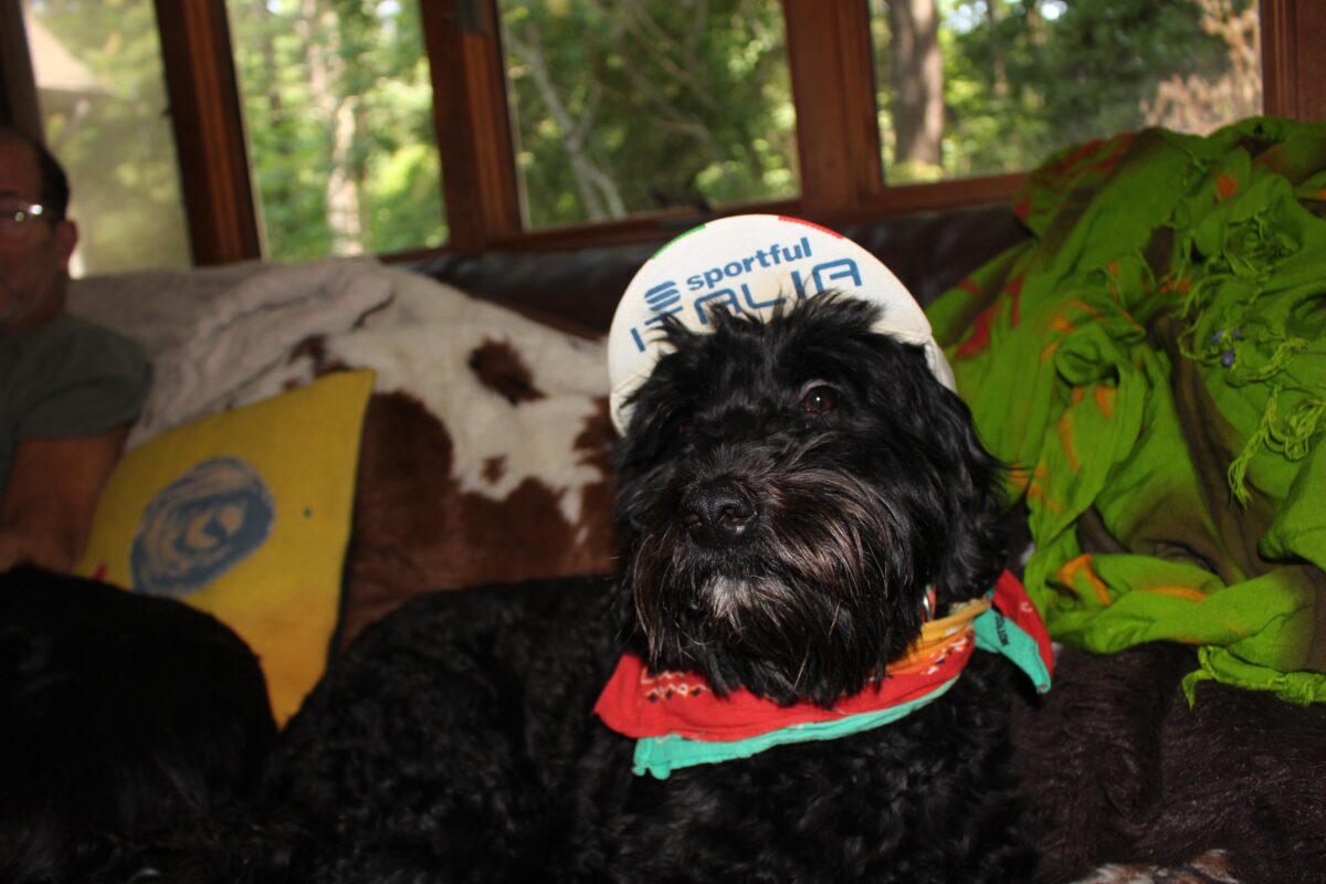 bridget in ital cap